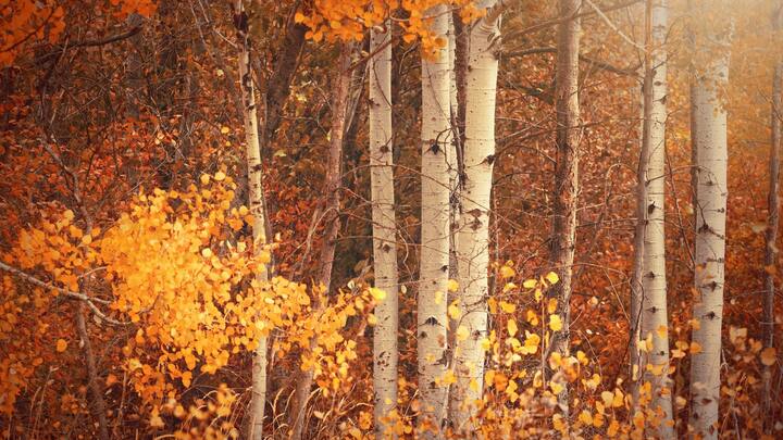 Logo for Spokane Valley II Home Church Group