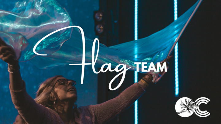 Logo for Flag Dream Team