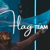 Logo for Flag Dream Team