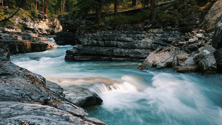 Logo for Young Adult CG1