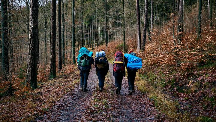 Logo for Backpacking