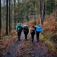 Logo for Backpacking