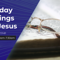 Logo for Tuesday Mornings