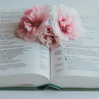 Logo for SMALL GROUP Tracy Lamb - Sat. Morning Women's