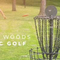 Logo for The Woods Disc Golf