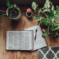 Logo for Adult Bible Study