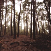 Sellers - Pastor's Sermon Series; 11:00 am - Room 133