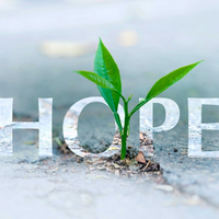 Logo for Women's Prison Outreach