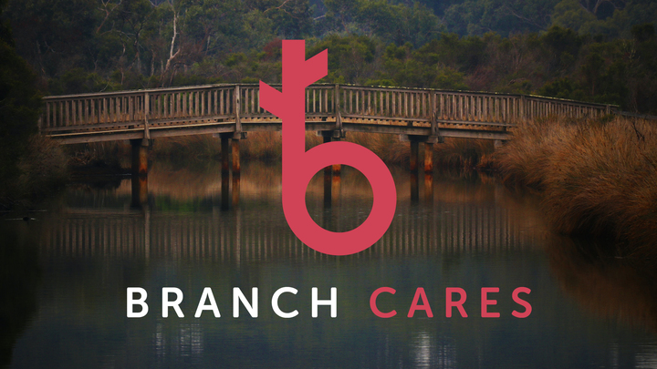 Logo for Branch Cares (Farmers Branch)