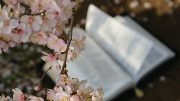 Logo for Women's Discipleship Group #2