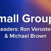 Logo for Verostek/Brown Small Group