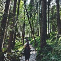 Logo for Hiking
