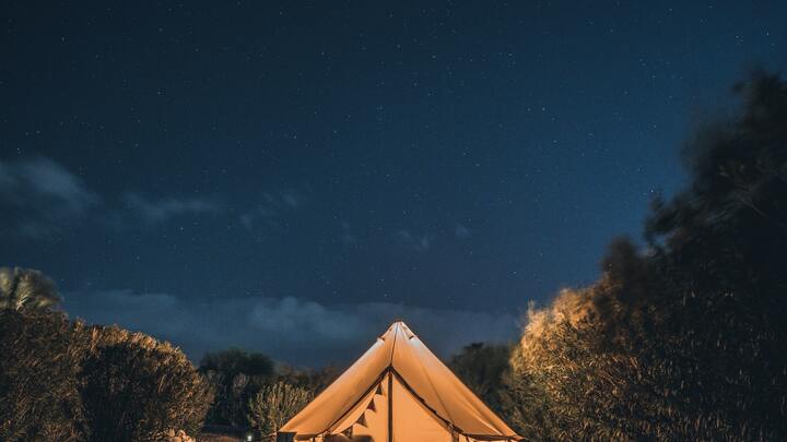 Logo for The Camping Tribe