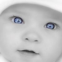 Logo for Opdragen -- Baby dedication