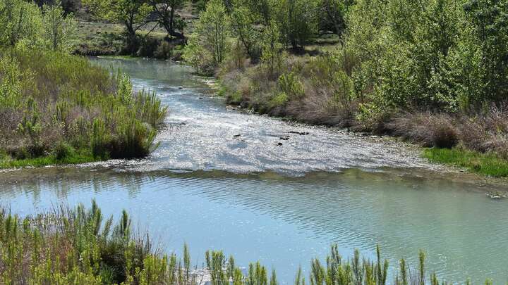 Logo for Creek Junction