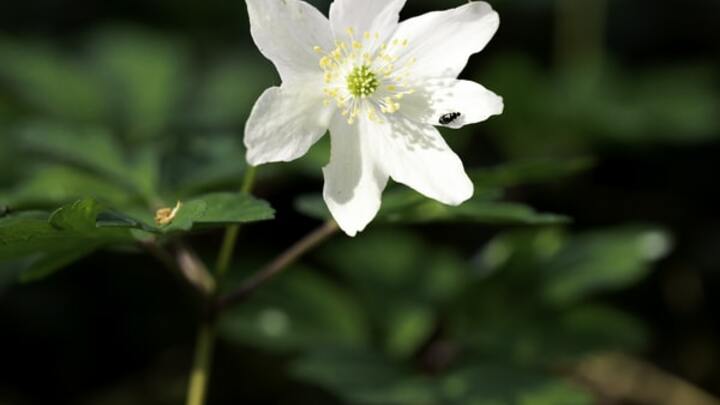 Logo for One*derful People