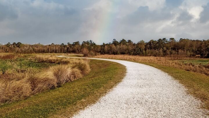 Logo for The Journey