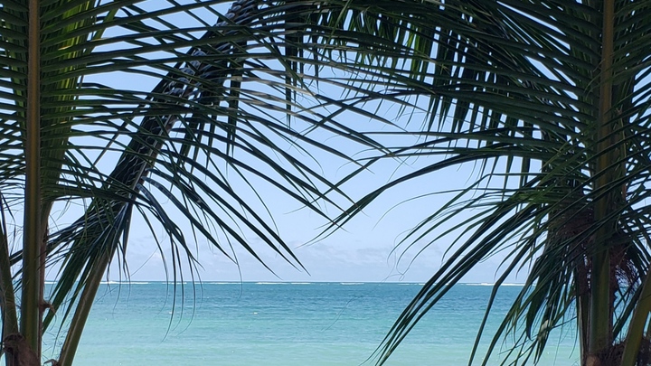 Logo for The Zephyr Community Group