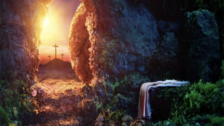 Logo for LifeGroup - Hammonds