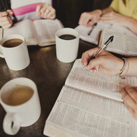 Logo for Brenda Albion