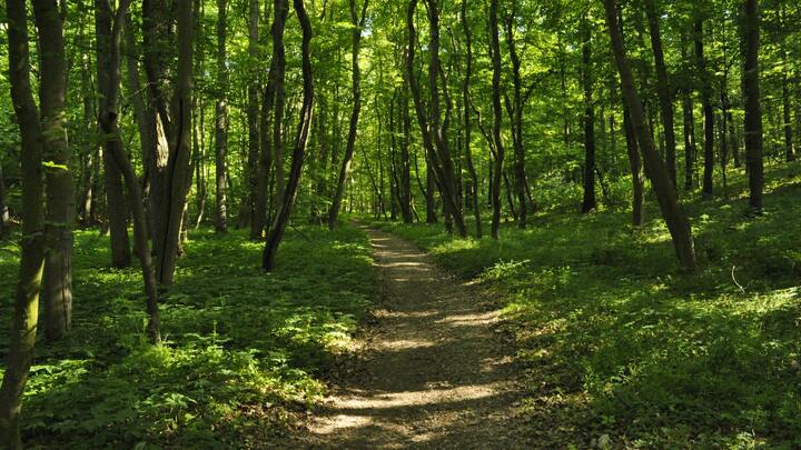 Logo for Great Falls | Fun in the Sun