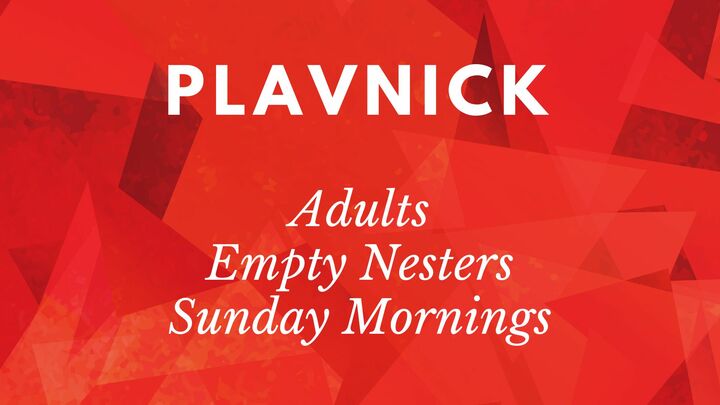 Logo for Plavnick