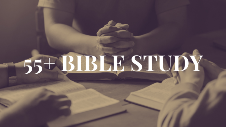 Logo for 55+ Bible Study