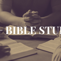 Logo for 55+ Bible Study