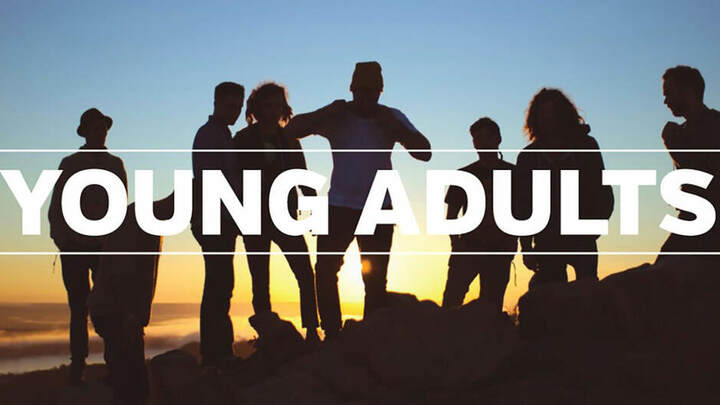 Logo for Young Adult / College Small Group