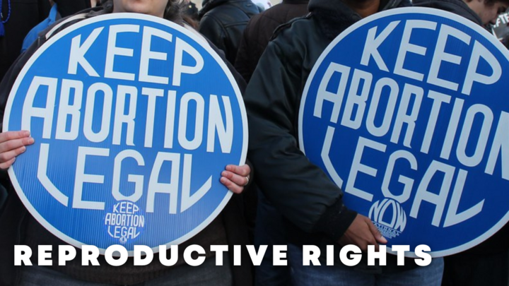 Logo for Reproductive Justice Team