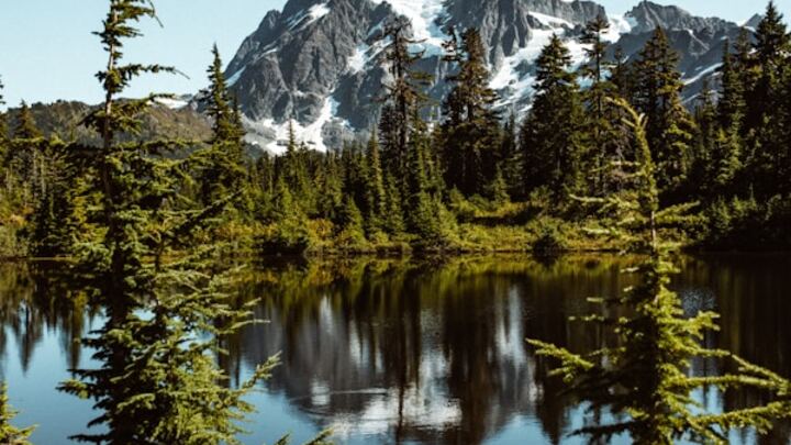 Logo for College and Young Adult Group