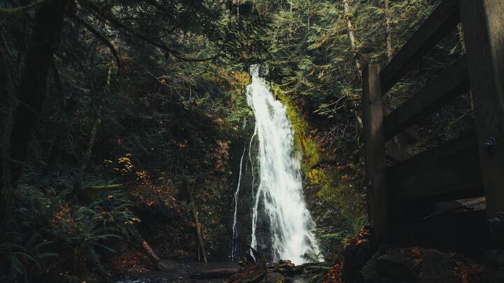 Wellspring Women's Ministry: Meet N' Eat logo