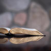 Logo for Bible Explorations - Room 304