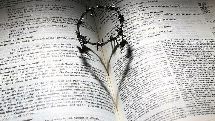 Logo for What Would Jesus Say (WWJS) | Brenda Bounds | Thurs 6-8p