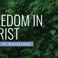 Logo for Blackhorse Ranch