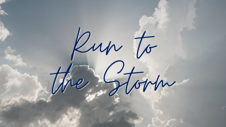 Logo for Run to the Storm