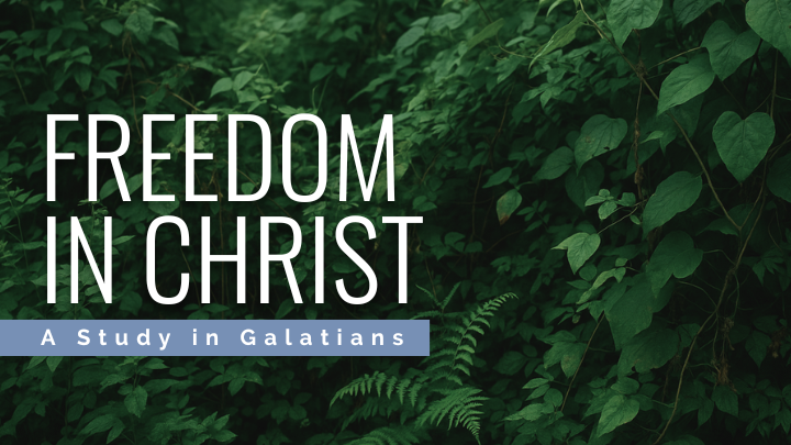 Logo for Tomball Campus | Sunday (The Alcove Room)