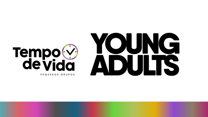 Logo for TDV Lighthouse