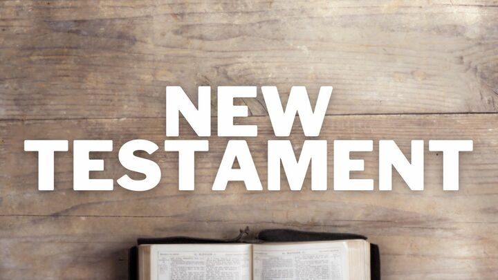 Logo for New Testament: Digging In