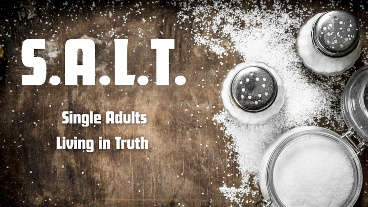 Logo for Grow Group: SALT - Single Adults Living in Truth