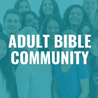 Logo for Adult Bible Community
