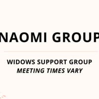 Logo for Naomi Group