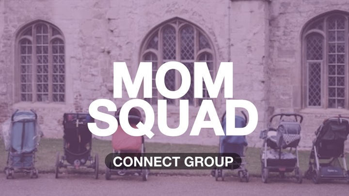 Logo for Mom Squad