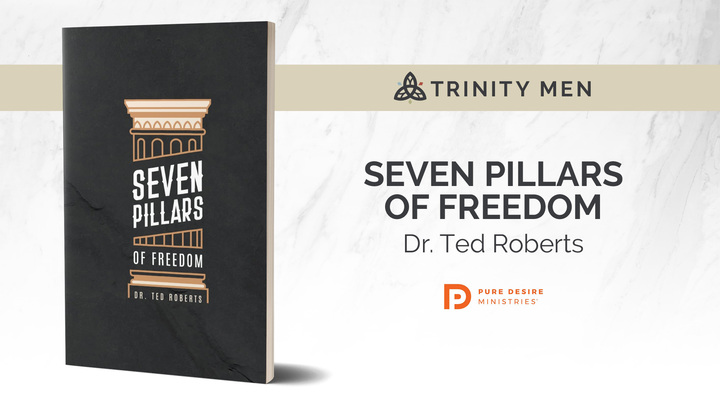 Logo for 7 Pillars of Freedom: A Pure Desire Group for Men