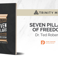Logo for 7 Pillars of Freedom: A Pure Desire Group for Men