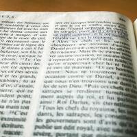 Logo for A Study on the book of Hebrews