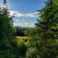 Logo for Married Couple Small Group⎮ Washington Township Area