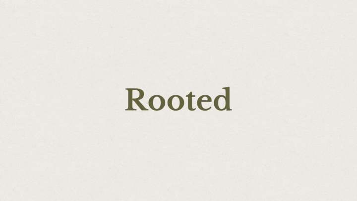 Logo for Church Online | Rooted | Stephen Kutscher