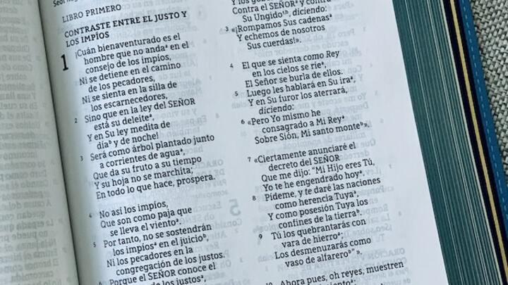 Logo for Estudio Bíblico en Español