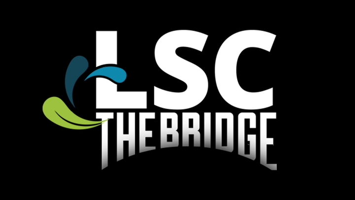 Logo for The Bridge